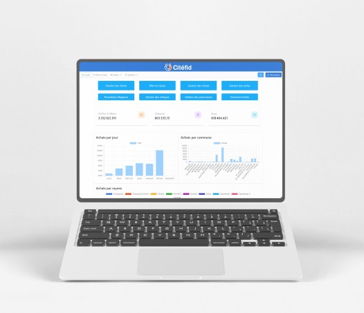 Image d'un ordinateur portable avec des graphiques de statistique.